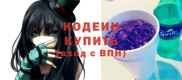гашик Каменка