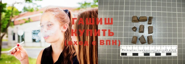 хмурый Няндома