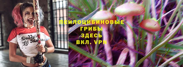 мдпв Каменногорск