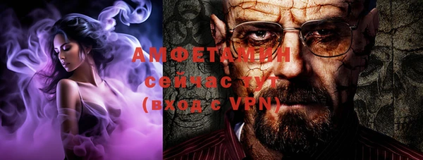 гашик Пестово