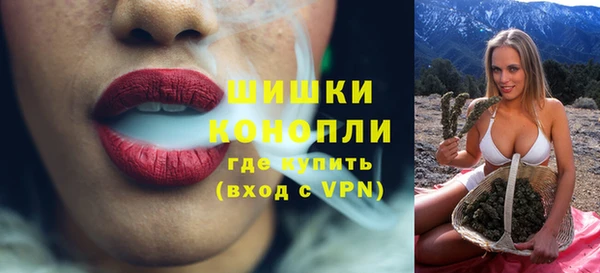 мдпв Каменногорск